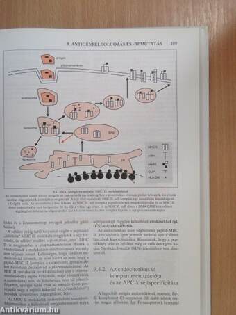 Az immunológia élettani és molekuláris alapjai