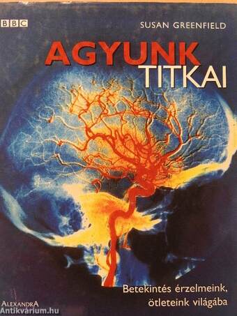 Agyunk titkai