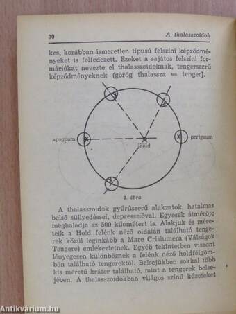 A Hold ostroma