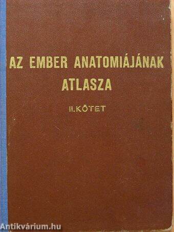 Az ember anatómiájának atlasza II. (töredék)