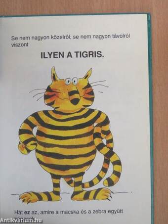 Amit a tigrisekről feltétlenül tudni kell