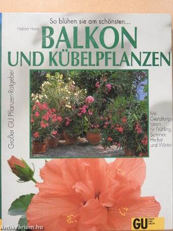 Balkon und Kübelpflanzen