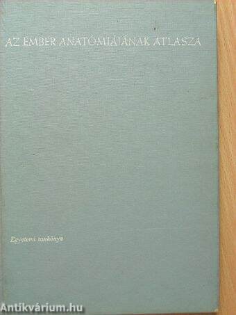 Az ember anatómiájának atlasza 2. (töredék)