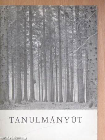 Tanulmányút