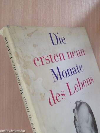 Die ersten neun Monate des Lebens