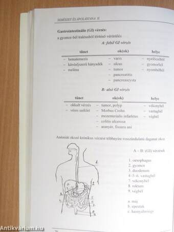 Klinikai és ápolástudományi ismeretek sebészet és ápolástana II.