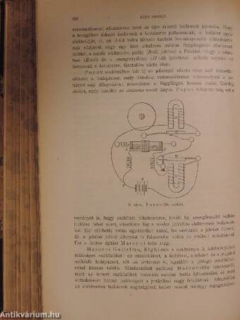 Természettudományi Közlöny 1903. január-december