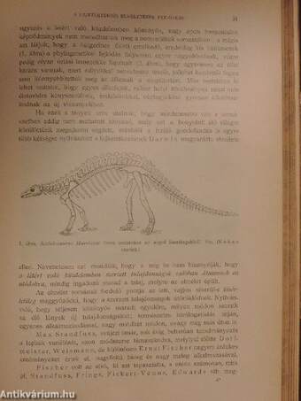 Pótfüzetek a Természettudományi Közlönyhöz 1901/1902/1903.