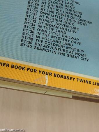 The Bobbsey Twins at the Tower of London