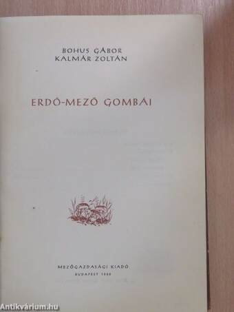 Erdő-mező gombái