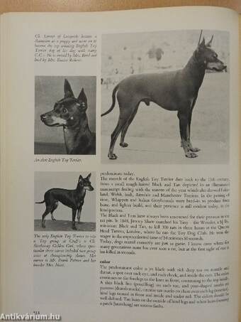 The world encyclopedia of DOGS