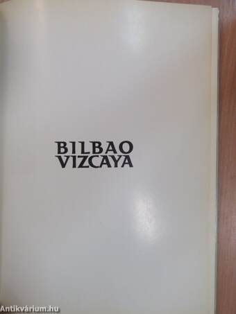 Bilbao Vizcaya