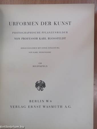 Urformen der kunst