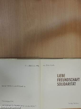 Liebe Freundschaft Solidarität