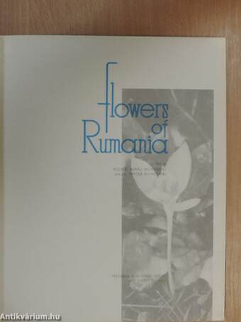 Flowers of Rumania