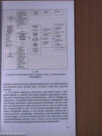 A béta-blokkolók szerepe a cardiovascularis eseményláncolat befolyásolásában