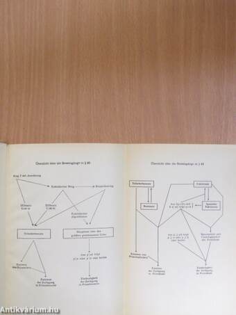 Grundzüge der Algebra II. (töredék)