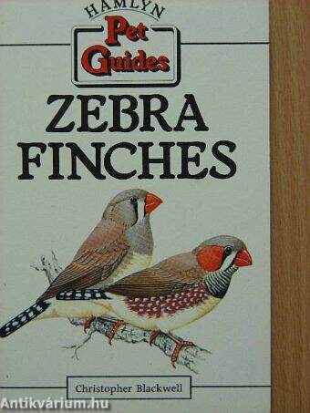 Zebra Finches