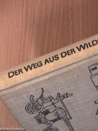 Der Weg aus der Wildnis