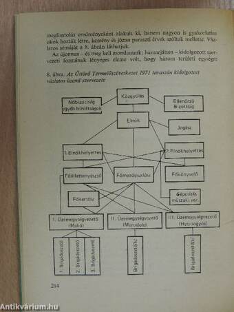 Egy termelőszövetkezet harminc éve