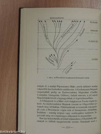 "18 kötet az Írók, költők, gondolkodók című sorozatból (nem teljes sorozat)"