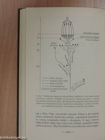 "18 kötet az Írók, költők, gondolkodók című sorozatból (nem teljes sorozat)"