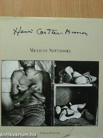 Mexican Notebooks