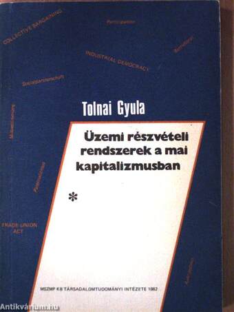 Üzemi részvételi rendszerek a mai kapitalizmusban