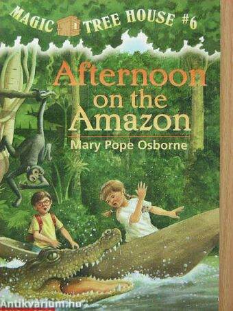 Afternoon on the Amazon