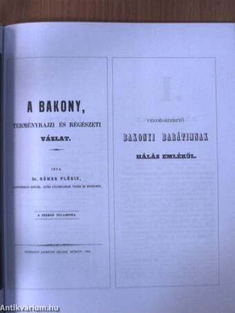 A Bakony - Vallomások képekben, fényképezőgéppel/Természetrajzi és régészeti vázlat