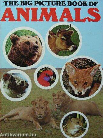 The Big Picture Book of Animals