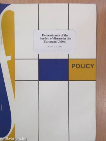 Determinants of the burden of disease in the European Union