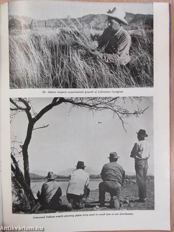 Arizona Highways May 1947