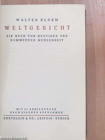 Weltgesicht