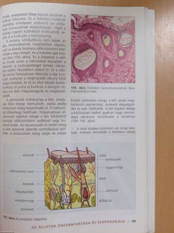 Biológia 10.