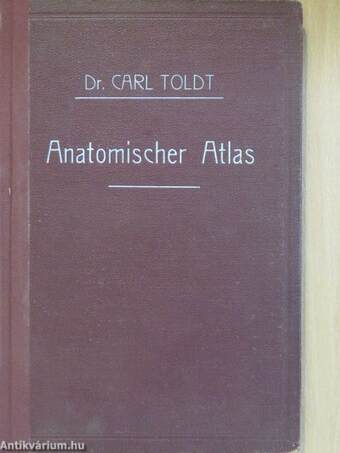 Anatomischer atlas für studierende und Ärzte II.