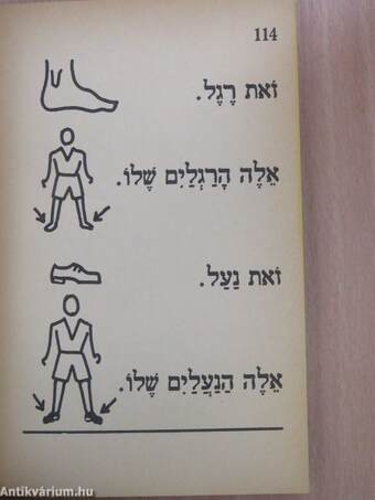 First Steps in Reading Hebrew