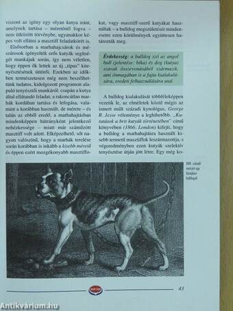 Bulldog enciklopédia