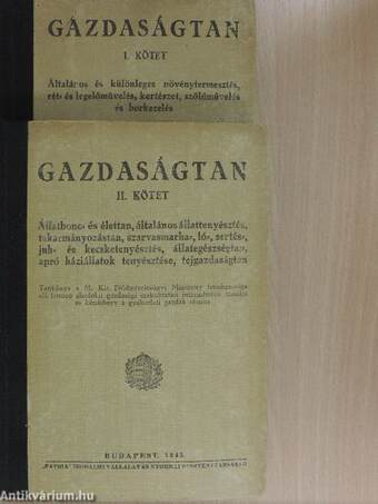 Gazdaságtan I-II.