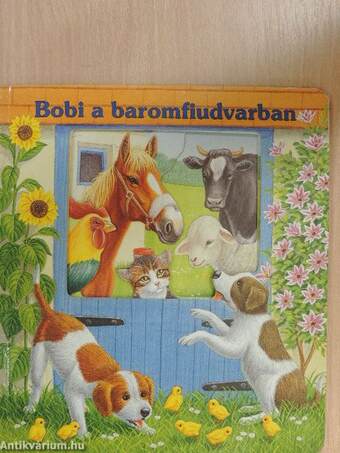 Bobi a baromfiudvarban