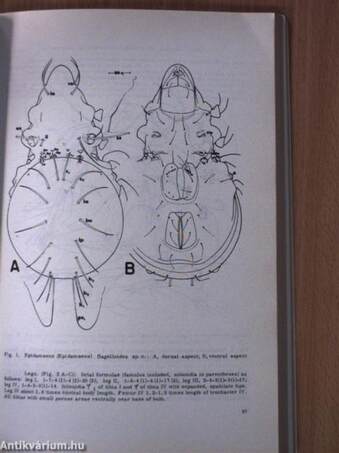Folia Entomologica Hungarica 1/1979.