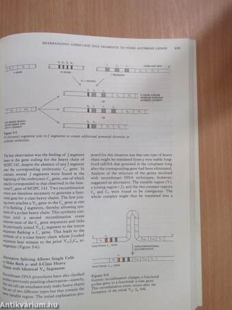 Recombinant DNA