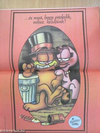 Garfield 1990/5.