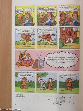 Garfield 1990/5.