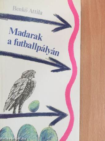 Madarak a futballpályán