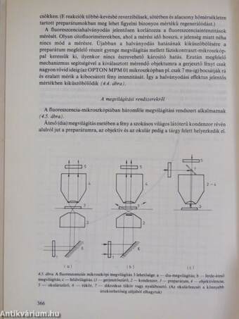 Lumineszcencia a biológiában és az orvostudományban