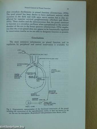 The Pineal Gland