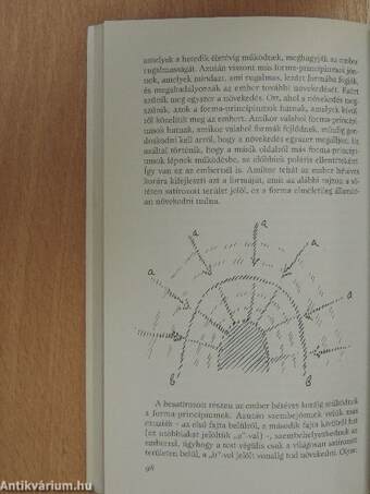 Élet a halál és az újraszületés között