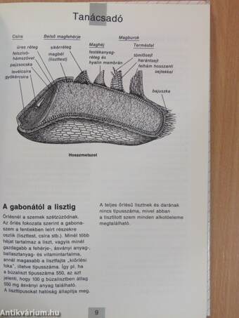 Pikáns falatok