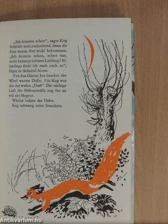 Der schlaue Fuchs